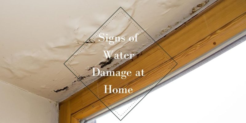 Signs of Water Damage at Home