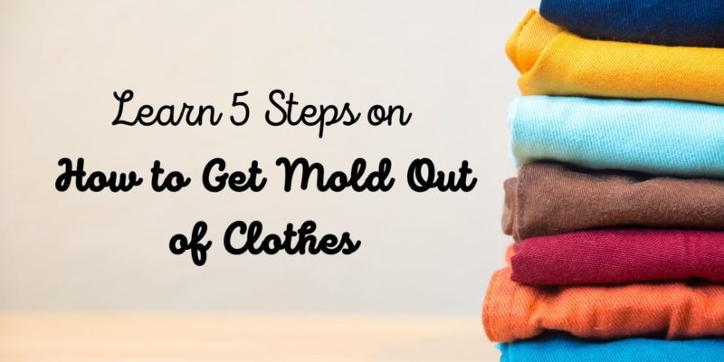 Learn 5 Steps on How to Get Mold Out of Clothes