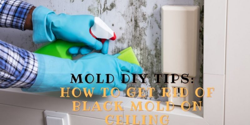 Mold DIY Tips How to Get Rid of Black Mold on Ceiling