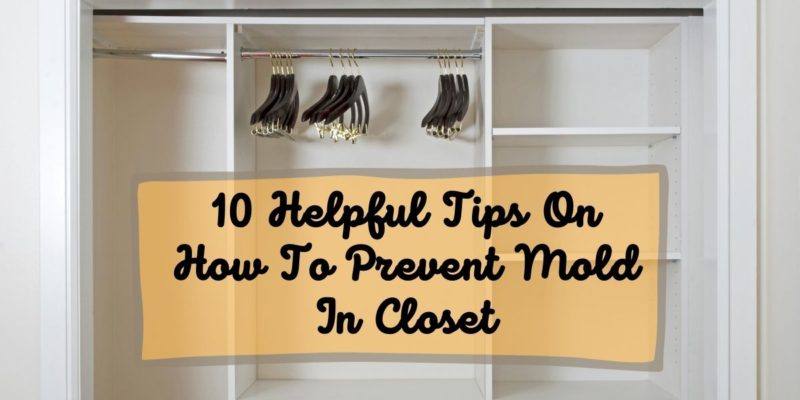10 Helpful Tips On How To Prevent Mold In Closet